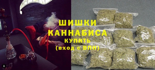 спиды Богородск