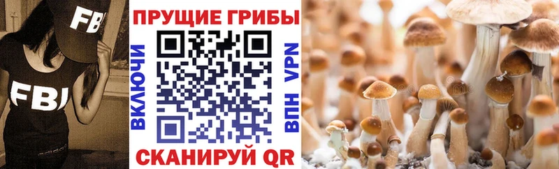 Галлюциногенные грибы прущие грибы  блэк спрут как зайти  Барнаул 
