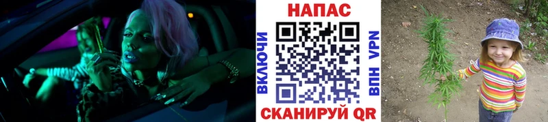 закладки  Барнаул  Каннабис сатива 